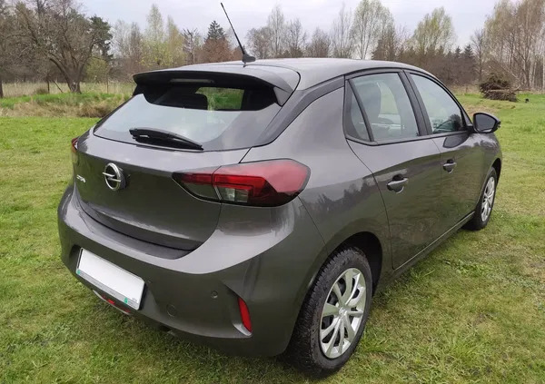 samochody osobowe Opel Corsa cena 35400 przebieg: 83000, rok produkcji 2020 z Brok